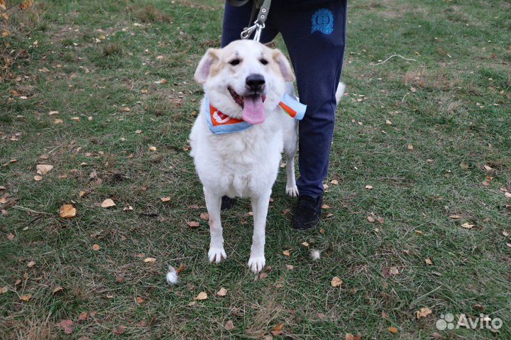 Всю жизнь в приюте