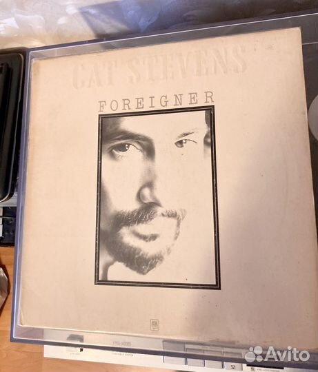 Cat Stevens 