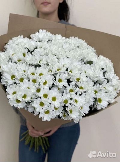 Хризантема. Букеты Цветы доставка