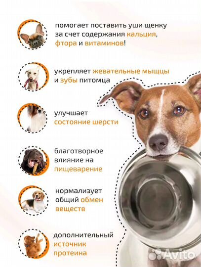 Вкусняшки для собак