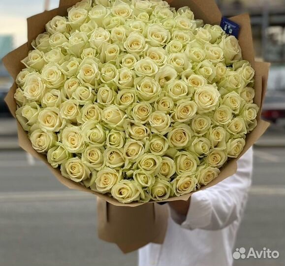 101 роза 31 51 роза Цветы