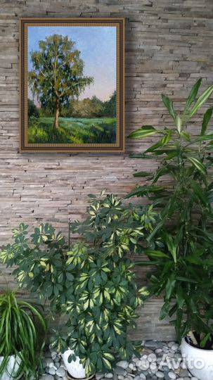 Картина маслом Пейзаж Русская Берёза в поле