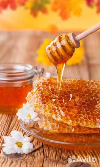 Пчелиные ульи