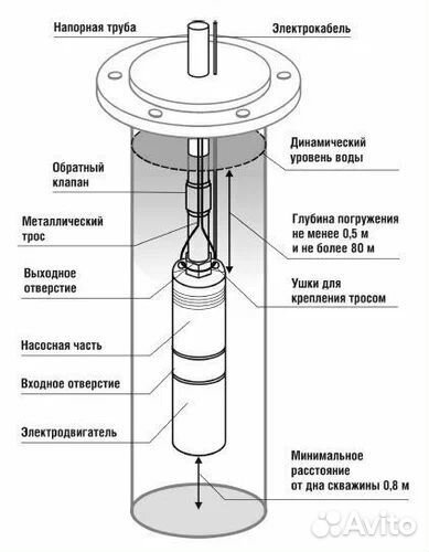 Насос скважинный belamos tf3 60