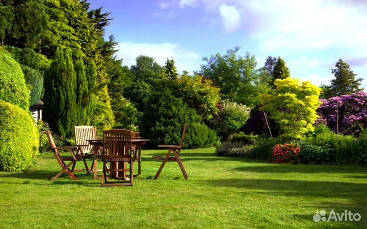 Рулонный газон - газон с укладкой