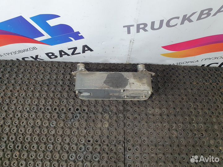 Радиатор масляный кпп Daf XF105