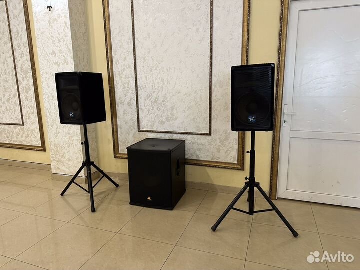 Активные колонки Park A Delta3212 Berendger B1800