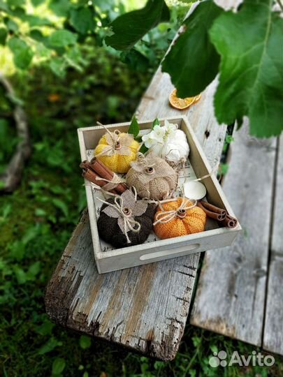 Тыква декоративная