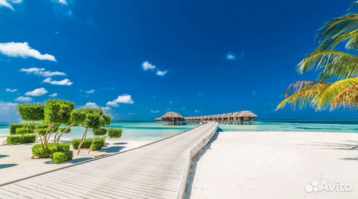 Поездка Мальдивы 7 ночей отель 4*, завтраки