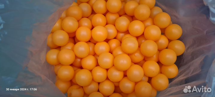 Шарики для настольного тенниса