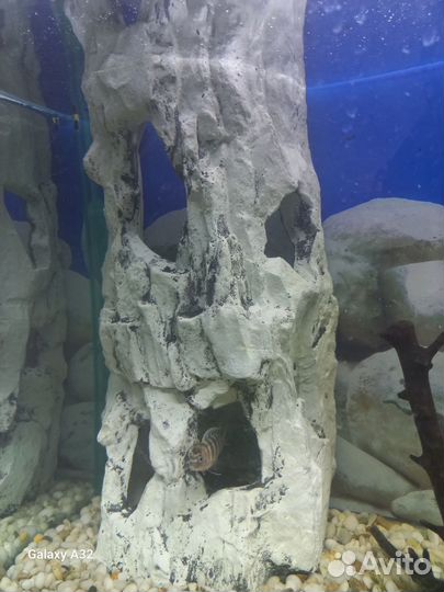 Декорации в аквариум/террариум