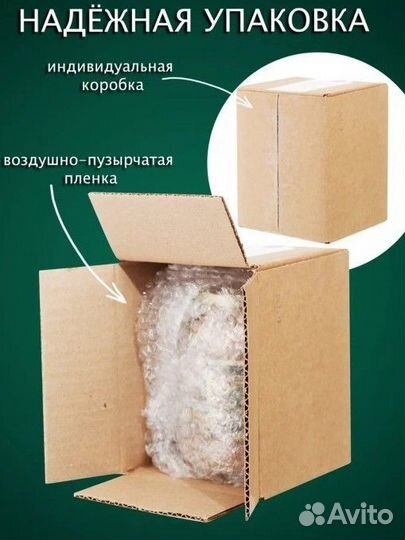 Чистейший мед Белой Акации