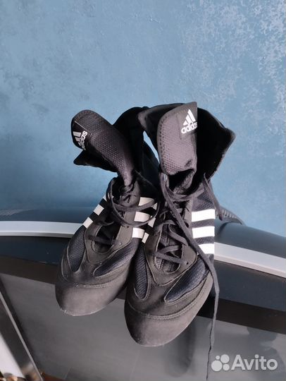 Боксерки adidas box hog 2
