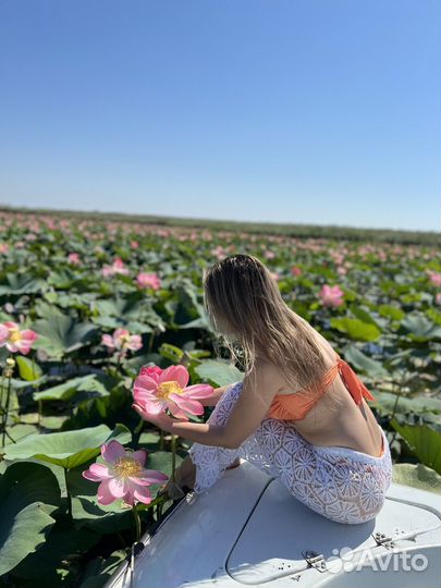 Экскурсии на лотосовые поля в Дельту Волги