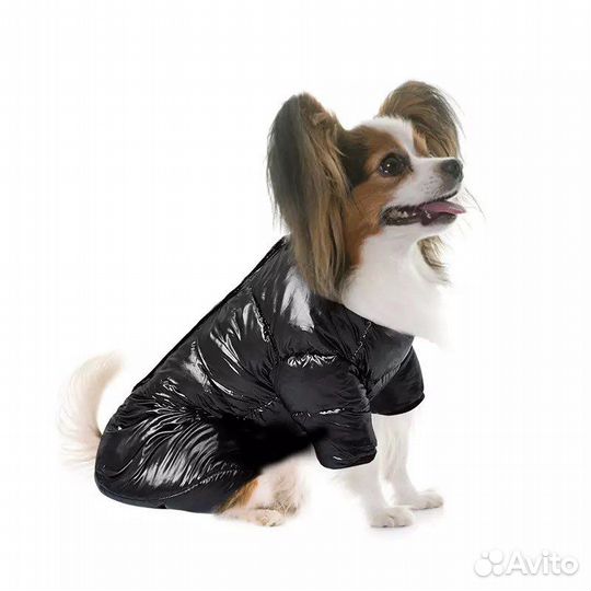 Комбинезон для собаки