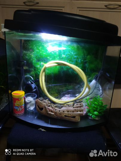 Аквариум панорамный 45л с рабками