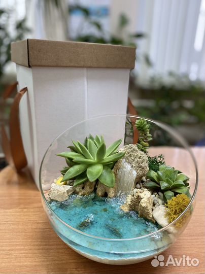 Идеальный подарок - флорариум