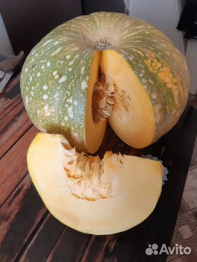 Рассада огурцов, тыквы,кабачков,перцы