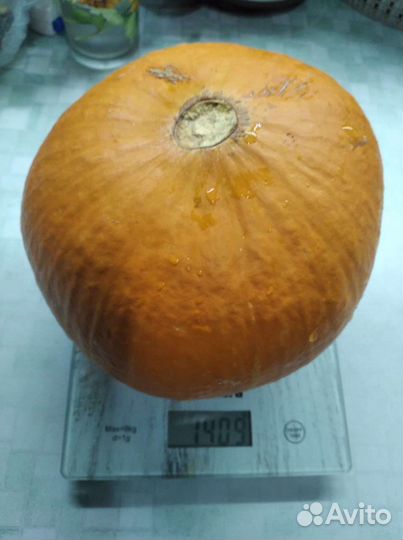 Семена тыквы Хоккайдо