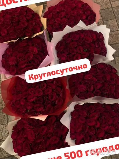 Розы 25/51/101 Иваново