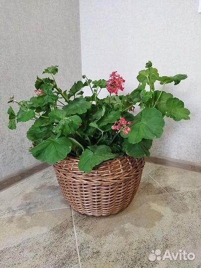 Декоративное кашпо/корзина