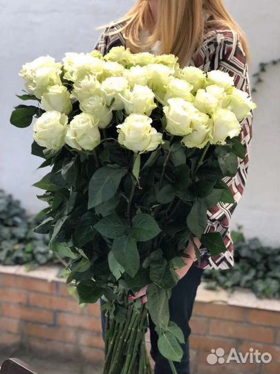 Цветы розы