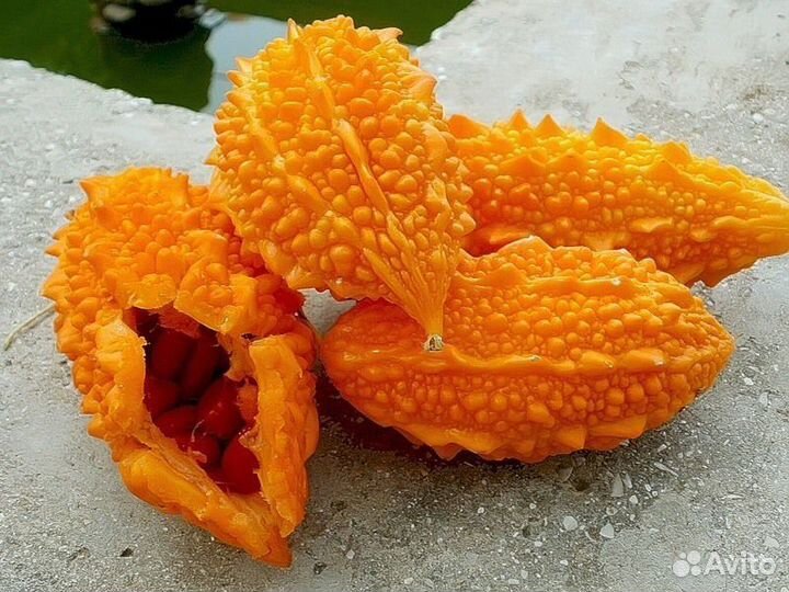 Момордика (семена)