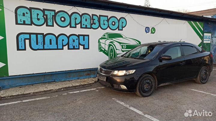 Амортизатор передний правый Kia Cerato 546611M300