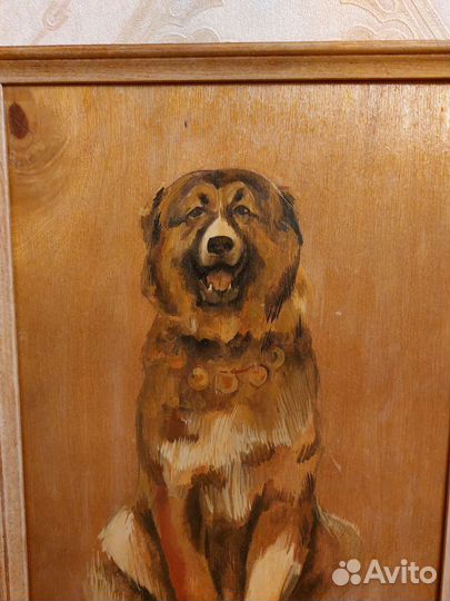 Картина масло-фанера портрет собаки алабайкавказе