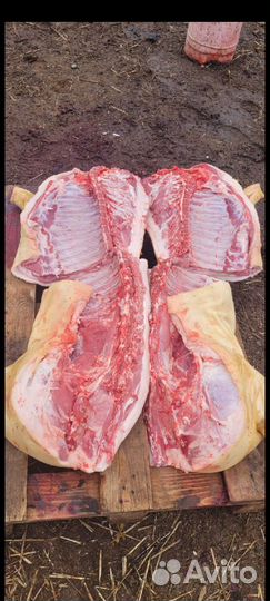 Мясо свинина