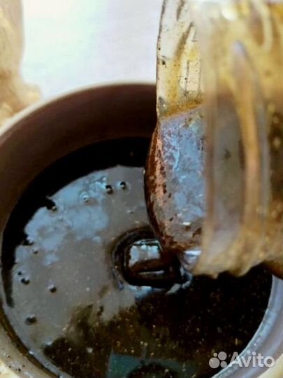 Мёд от простатита