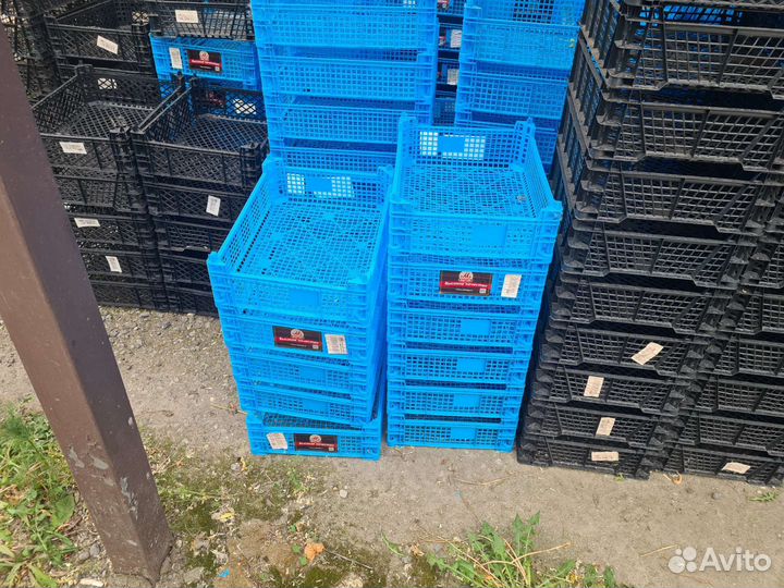 Пластиковые ящики бу