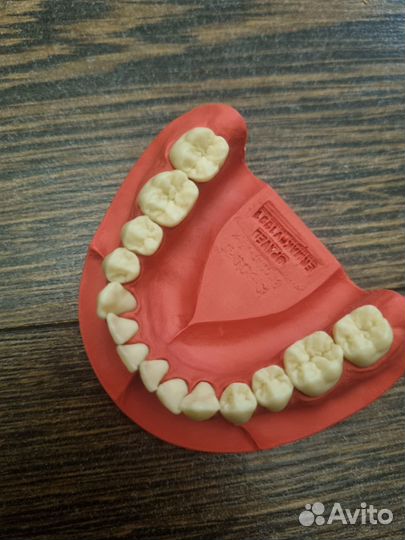 Модели геллера с дополнительным комплектом зубов