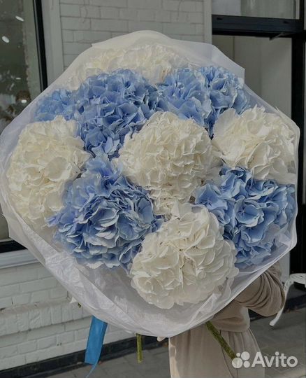 Гортензия букет