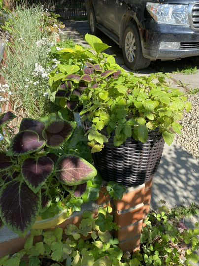 Дом 96 м² на участке 6 сот.