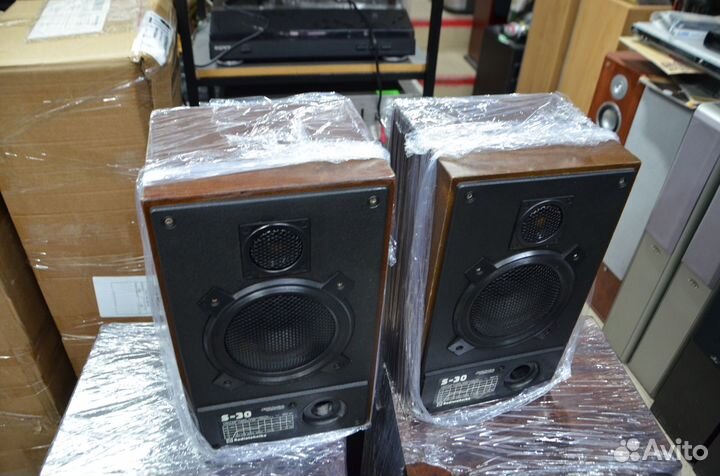 Колонки полочные Радиотехника S-30