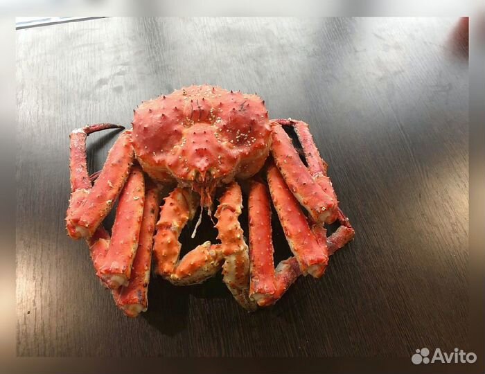 Краб Камчатский