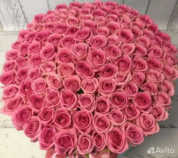 Роза 101 Доставка