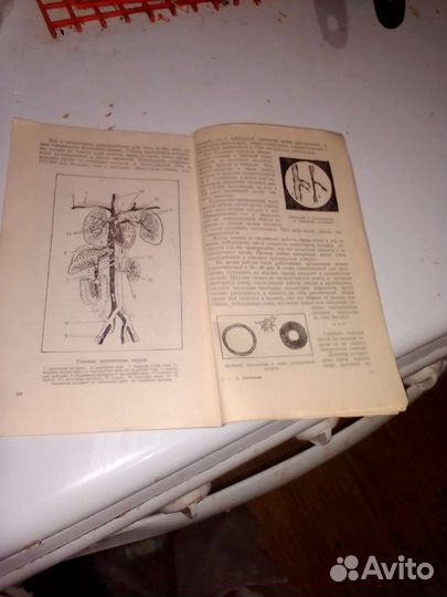 Брошюра по медицине