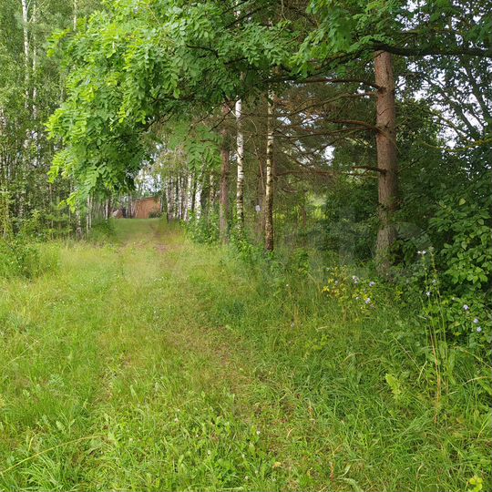 Участок 16 сот. (ИЖС)