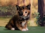 Трёхцветная короткошерстная кошка