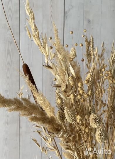 Букет из сухоцветов для декора