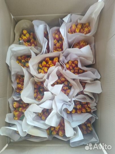 Тюльпаны к 8 марта оптом