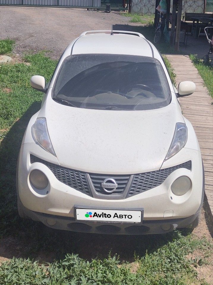 Nissan Juke: фото владельца