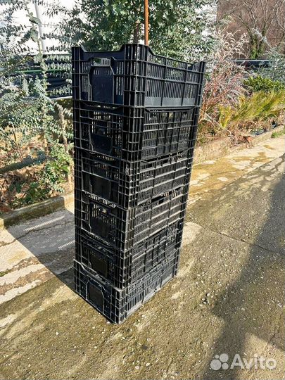 Ящик пластиковый