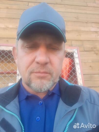 Директор, зам. директора, руководитель проекта