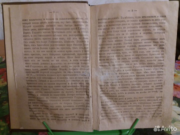 Дубровина Е.О. Жертва трех честолюбий. 1897 год