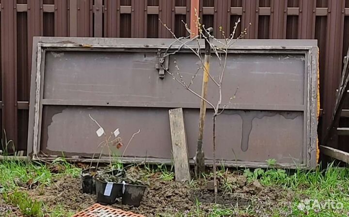 Дверь металлическая входная