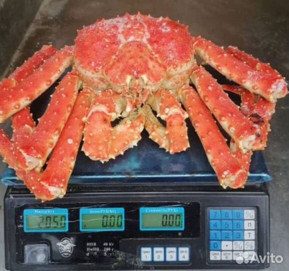 Икра, краб, креветка, рыба, морепродукты оптом