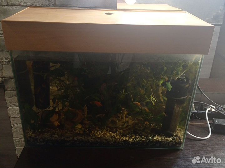 Индийский нож